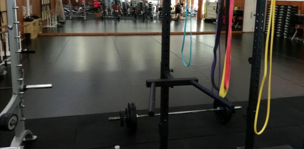 Acompanhamento de fisioterapia musculo-esquelética em contexto clinico